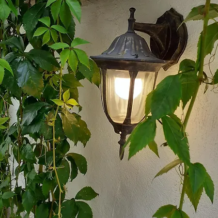 Statevi Guest 1 * Velingrad