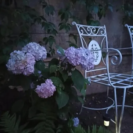 Apartament Statevi Guest 1