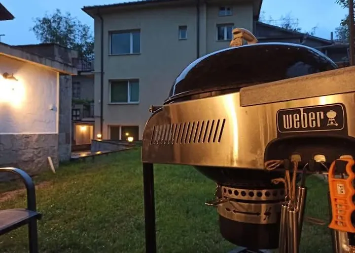 Statevi Guest 1 Welingrad