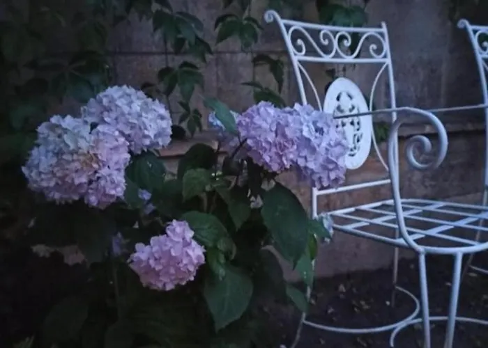 Apartment Statevi Guest 1